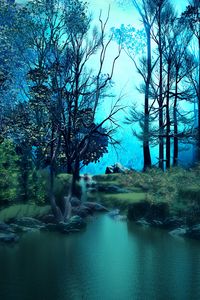 Preview wallpaper forest, pond, water, trees, art