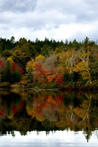 Preview wallpaper forest, reflection, lake, autumn, landscape