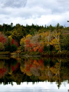 Preview wallpaper forest, reflection, lake, autumn, landscape