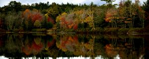 Preview wallpaper forest, reflection, lake, autumn, landscape