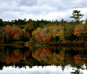 Preview wallpaper forest, reflection, lake, autumn, landscape