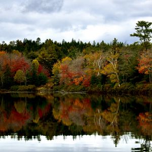 Preview wallpaper forest, reflection, lake, autumn, landscape