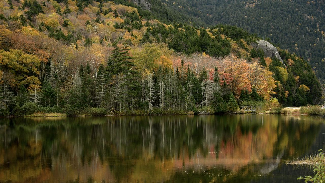 Wallpaper forest, reflection, lake, autumn, nature, landscape
