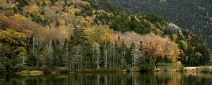 Preview wallpaper forest, reflection, lake, autumn, nature, landscape