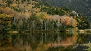 Preview wallpaper forest, reflection, lake, autumn, nature, landscape