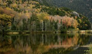 Preview wallpaper forest, reflection, lake, autumn, nature, landscape
