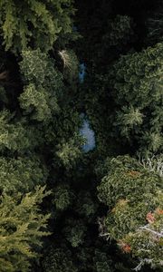 Preview wallpaper forest, river, aerial  view, trees, nature