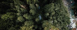 Preview wallpaper forest, river, aerial  view, trees, nature