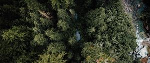 Preview wallpaper forest, river, aerial  view, trees, nature