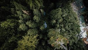 Preview wallpaper forest, river, aerial  view, trees, nature