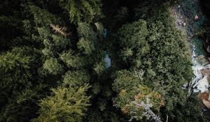 Preview wallpaper forest, river, aerial  view, trees, nature