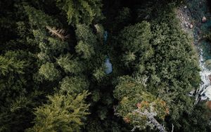 Preview wallpaper forest, river, aerial  view, trees, nature