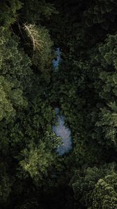 Preview wallpaper forest, river, aerial  view, trees, treetops