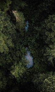 Preview wallpaper forest, river, aerial  view, trees, treetops