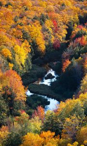 Preview wallpaper forest, river, aerial view, autumn, trees, colorful