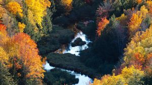 Preview wallpaper forest, river, aerial view, autumn, trees, colorful