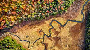 Preview wallpaper forest, river, aerial view, relief, nature