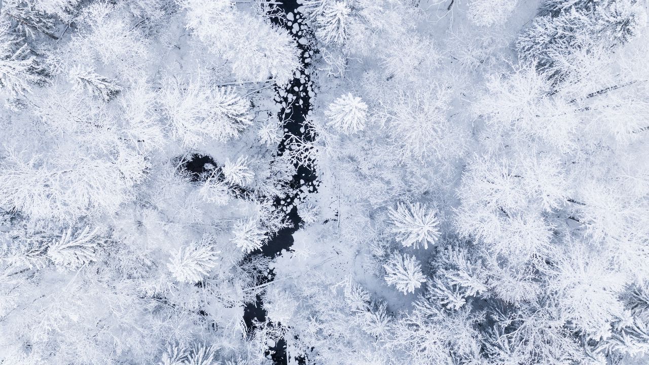 Wallpaper forest, river, aerial view, snow, winter, white