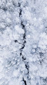 Preview wallpaper forest, river, aerial view, snow, winter, white
