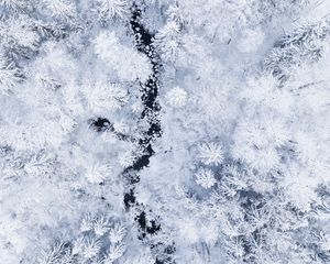 Preview wallpaper forest, river, aerial view, snow, winter, white