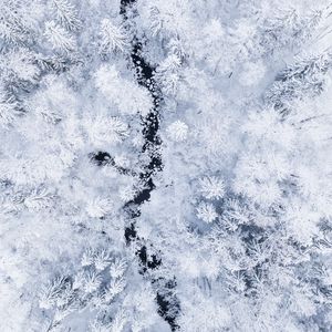 Preview wallpaper forest, river, aerial view, snow, winter, white