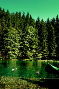 Preview wallpaper forest, river, boat, nature