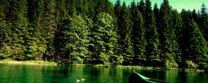 Preview wallpaper forest, river, boat, nature