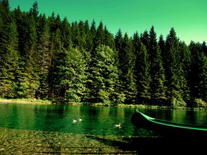 Preview wallpaper forest, river, boat, nature