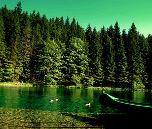 Preview wallpaper forest, river, boat, nature