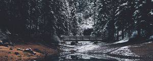 Preview wallpaper forest, river, bridge, pines, snow, landscape