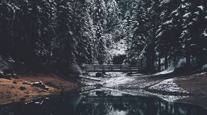 Preview wallpaper forest, river, bridge, pines, snow, landscape