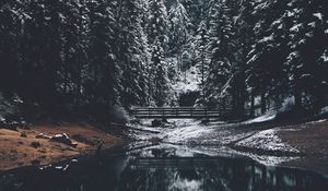 Preview wallpaper forest, river, bridge, pines, snow, landscape