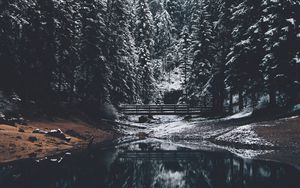 Preview wallpaper forest, river, bridge, pines, snow, landscape