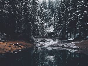 Preview wallpaper forest, river, bridge, pines, snow, landscape