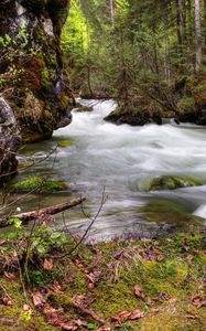 Preview wallpaper forest, river, flow, nature