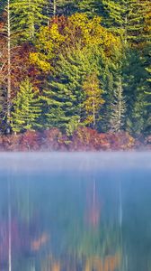 Preview wallpaper forest, river, fog, autumn, landscape