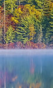 Preview wallpaper forest, river, fog, autumn, landscape