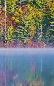 Preview wallpaper forest, river, fog, autumn, landscape