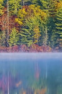 Preview wallpaper forest, river, fog, autumn, landscape