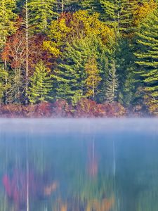 Preview wallpaper forest, river, fog, autumn, landscape