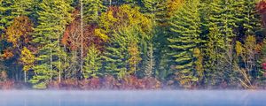 Preview wallpaper forest, river, fog, autumn, landscape