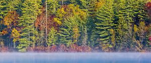 Preview wallpaper forest, river, fog, autumn, landscape