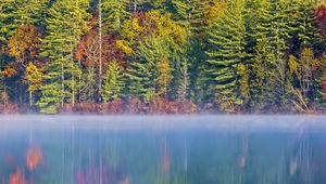 Preview wallpaper forest, river, fog, autumn, landscape