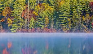 Preview wallpaper forest, river, fog, autumn, landscape