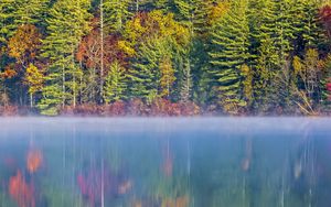 Preview wallpaper forest, river, fog, autumn, landscape