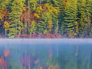 Preview wallpaper forest, river, fog, autumn, landscape