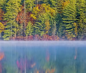 Preview wallpaper forest, river, fog, autumn, landscape