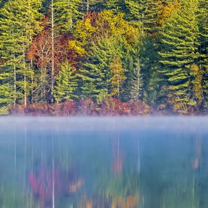 Preview wallpaper forest, river, fog, autumn, landscape