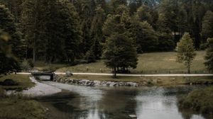 Preview wallpaper forest, river, mountains, bridge, landscape