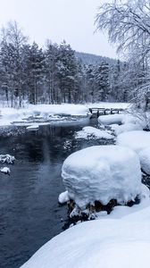 Preview wallpaper forest, river, snow, bridge, snowy